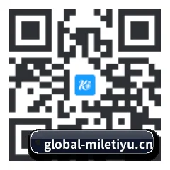 系统版 iOS 二维码